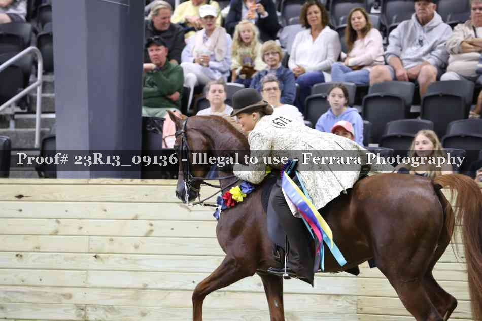 Proof 23R13_09136