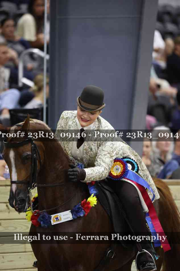 Proof 23R13_09146
