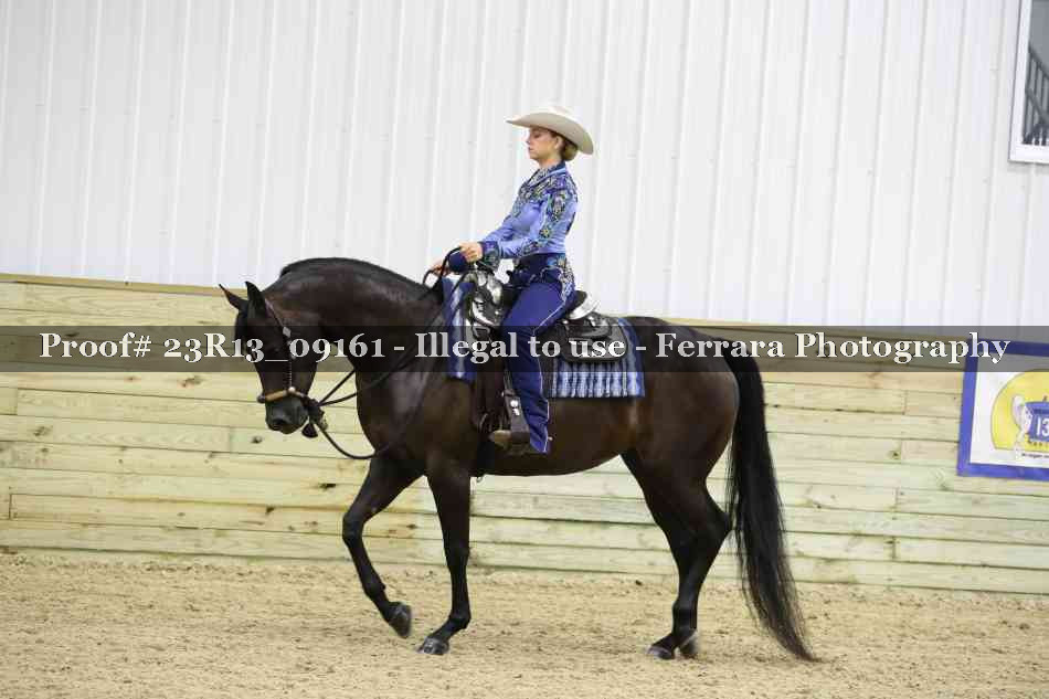 Proof 23R13_09161