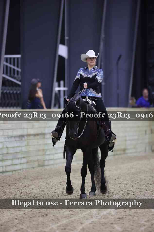Proof 23R13_09166