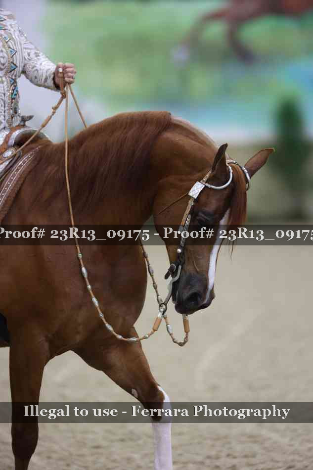 Proof 23R13_09175