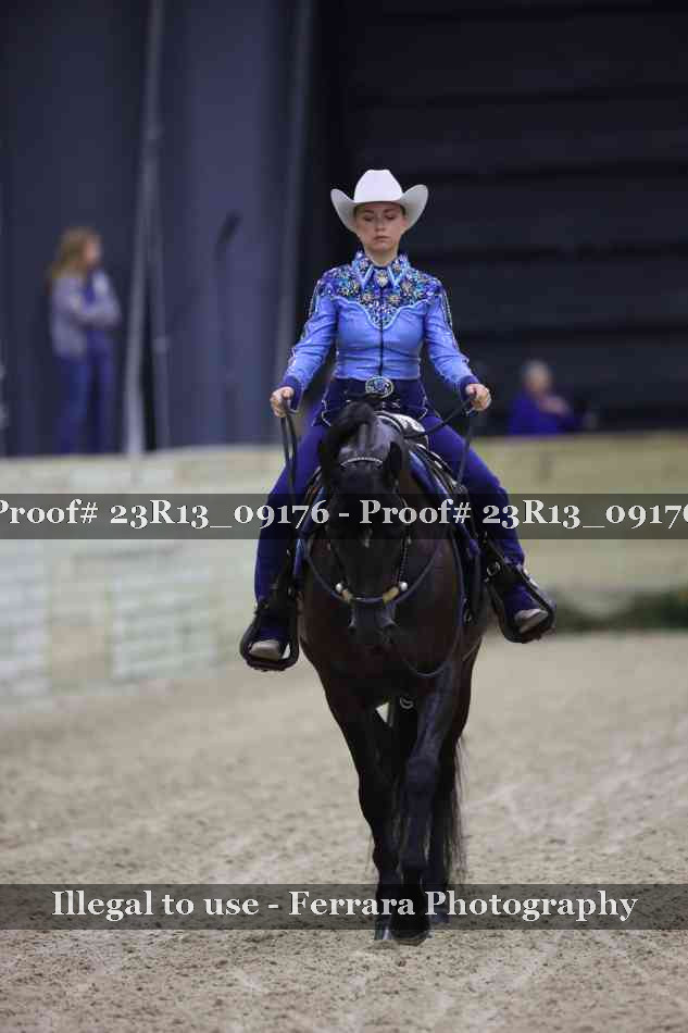 Proof 23R13_09176