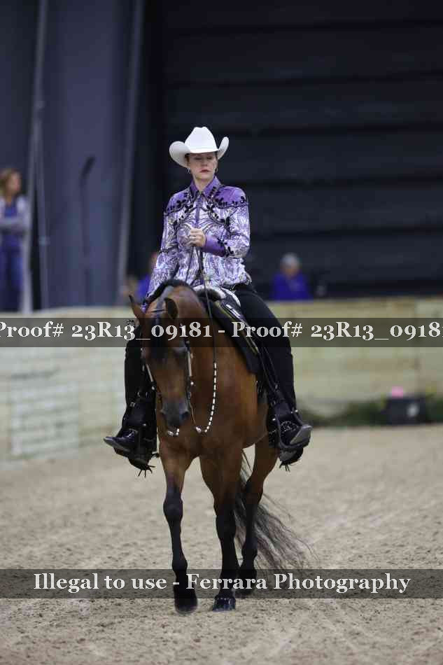 Proof 23R13_09181