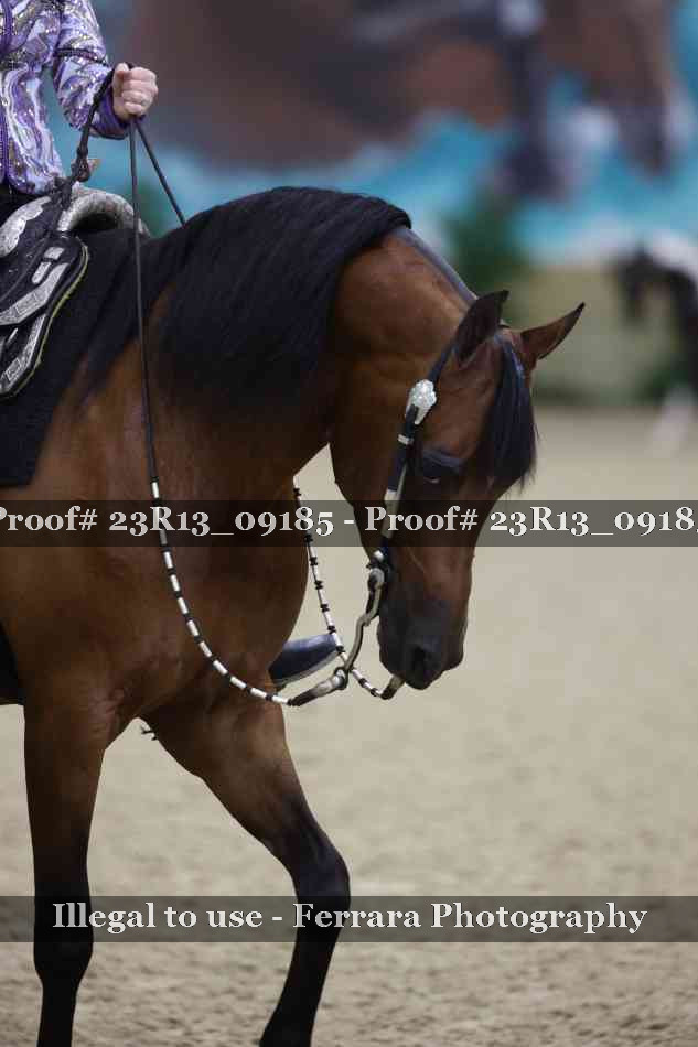 Proof 23R13_09185