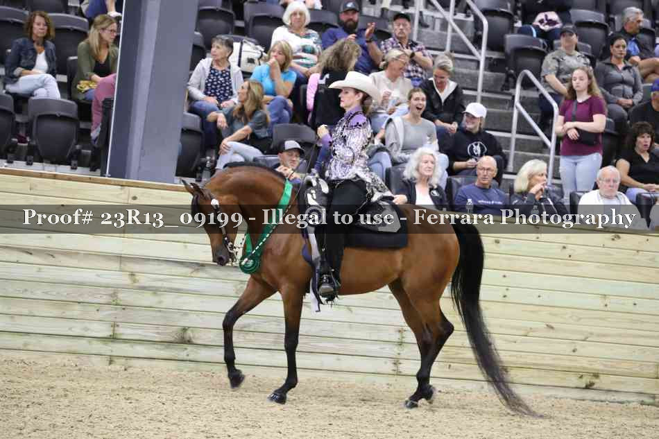 Proof 23R13_09199