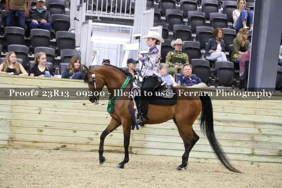 Proof 23R13_09200