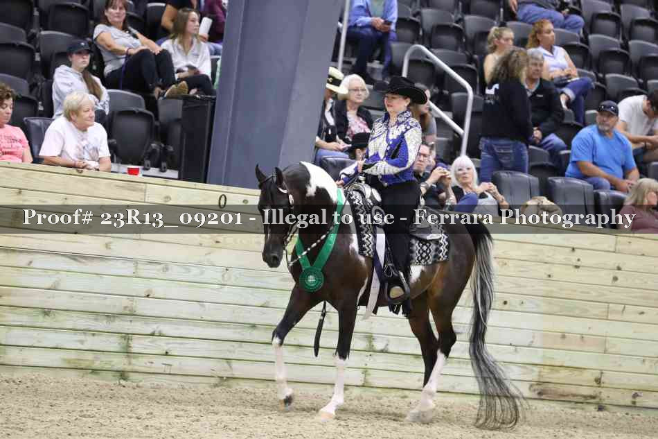 Proof 23R13_09201