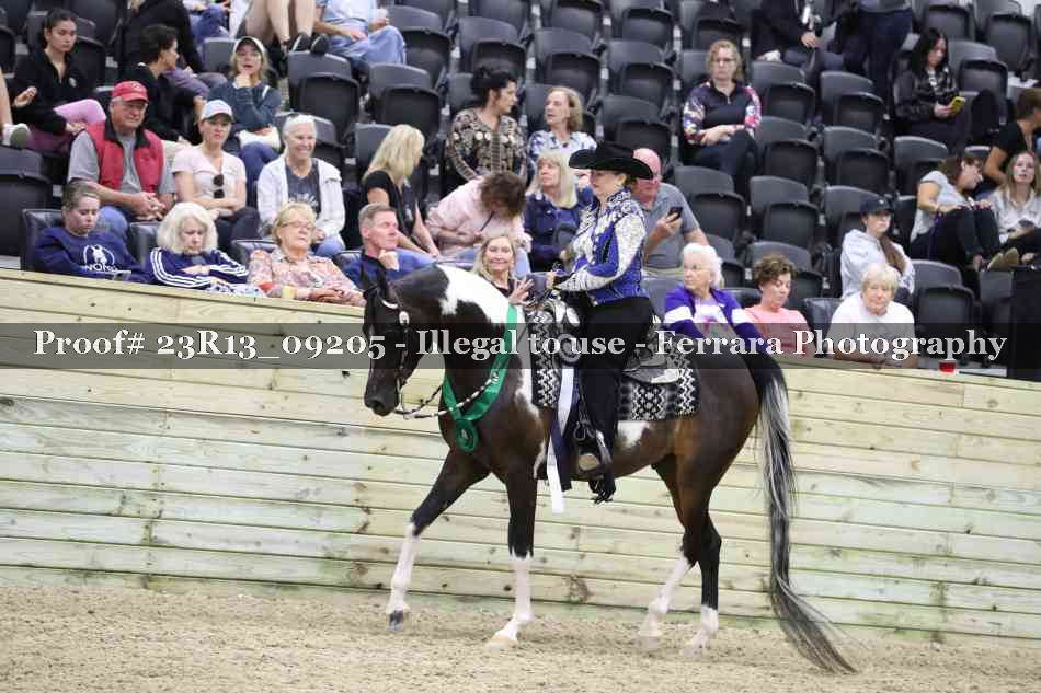 Proof 23R13_09205