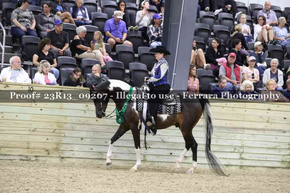 Proof 23R13_09207