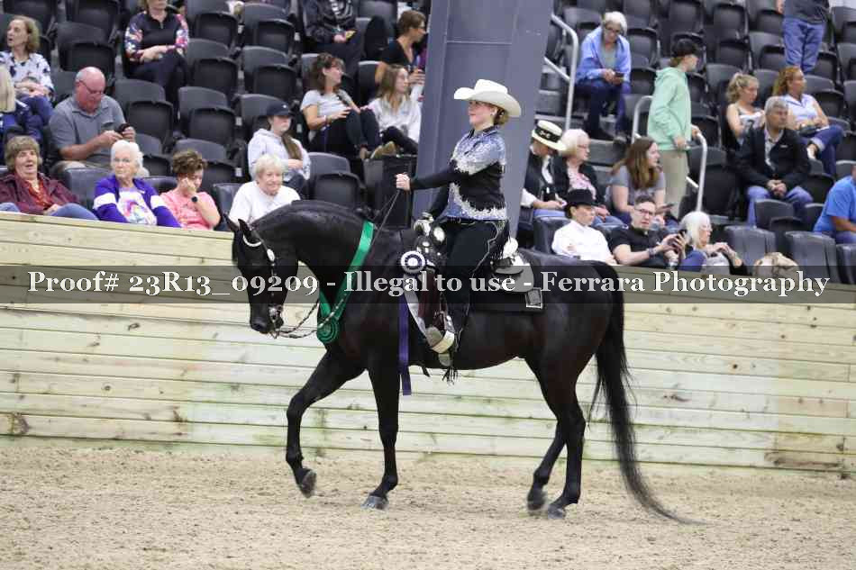 Proof 23R13_09209