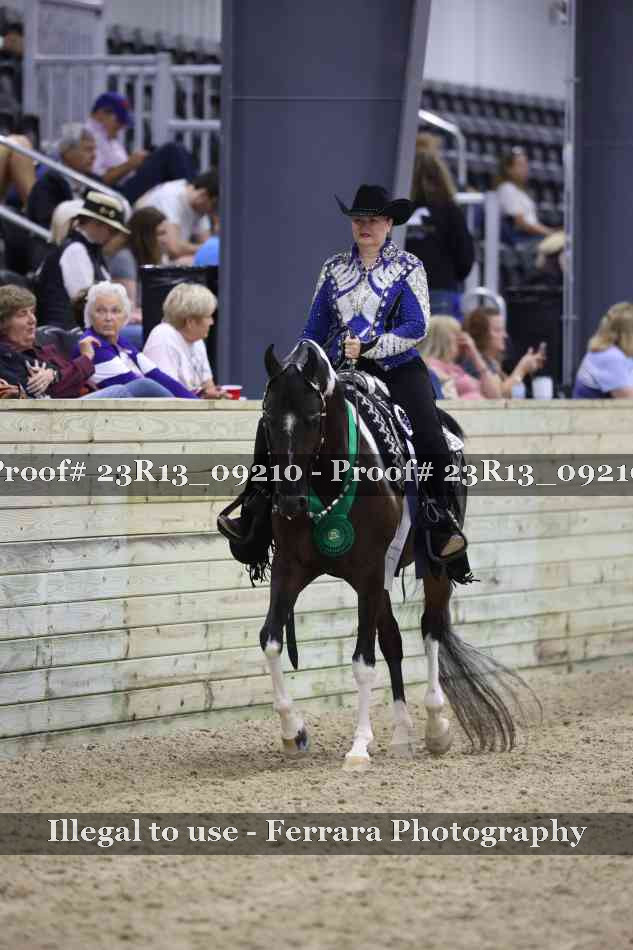 Proof 23R13_09210