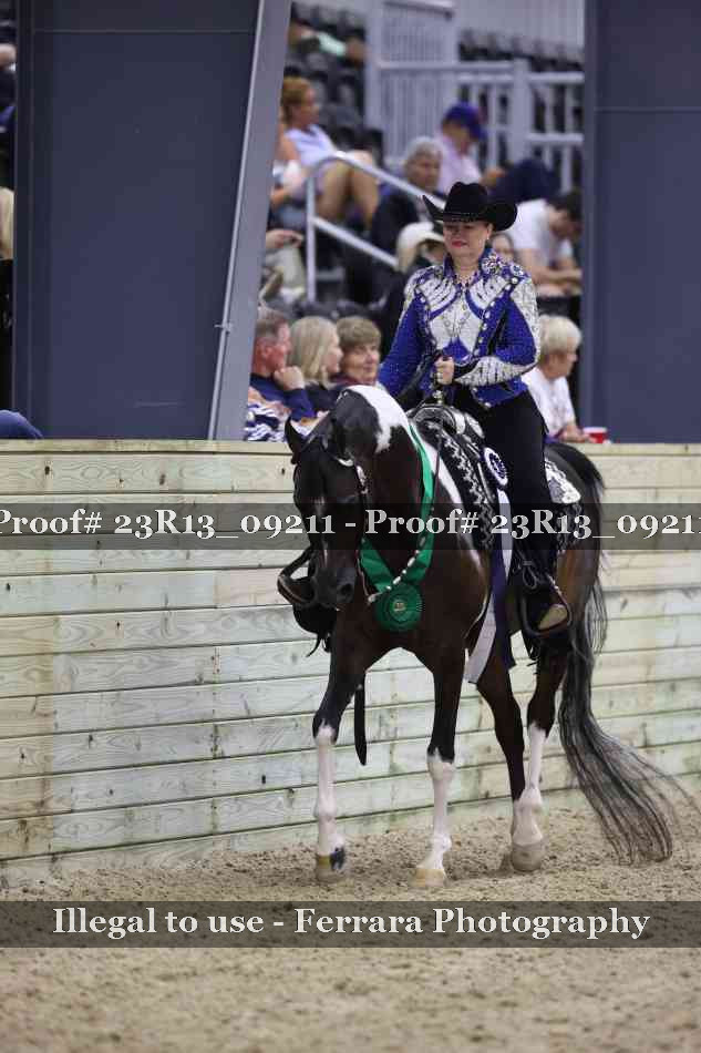 Proof 23R13_09211