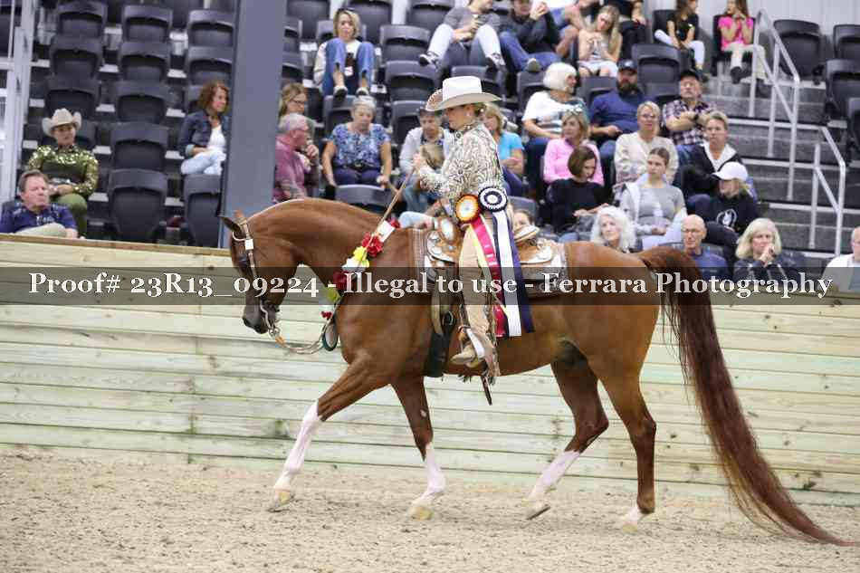 Proof 23R13_09224