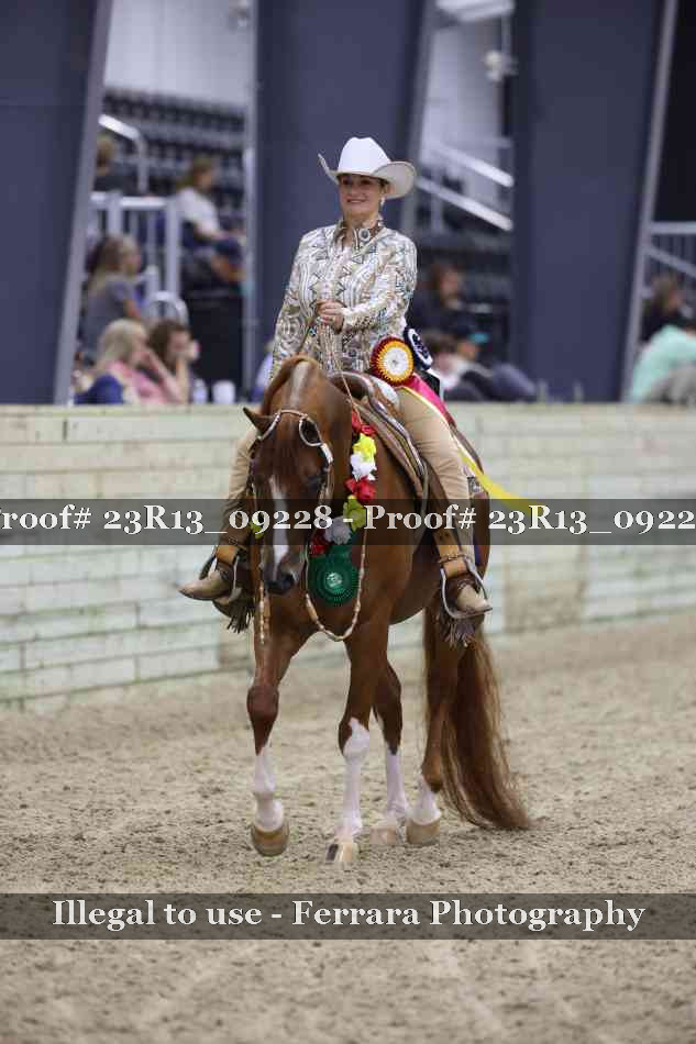 Proof 23R13_09228