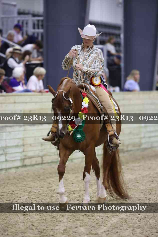 Proof 23R13_09229