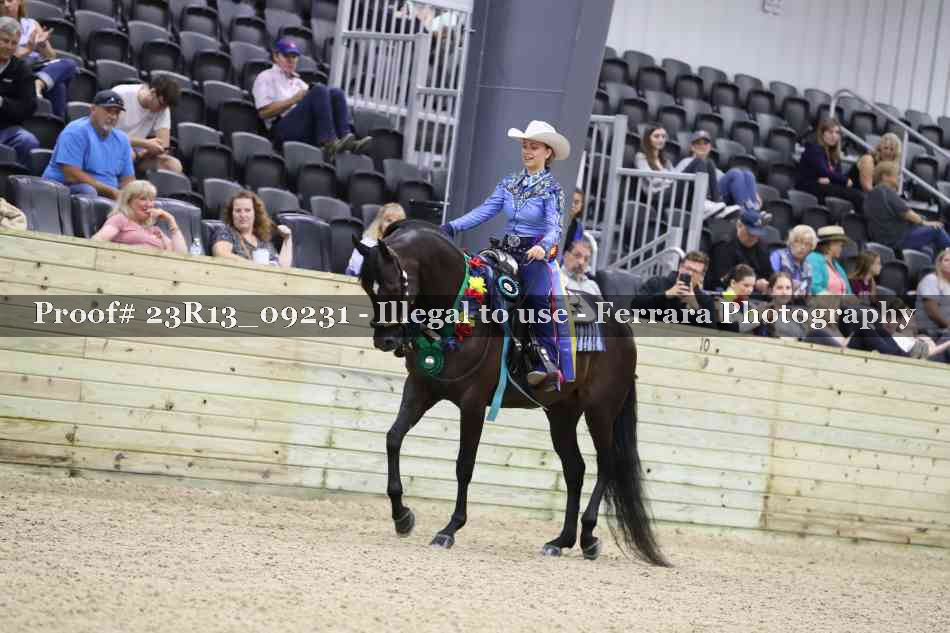 Proof 23R13_09231