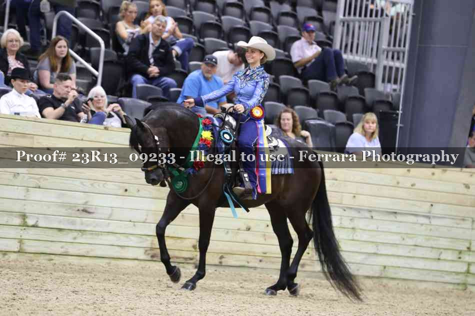 Proof 23R13_09233