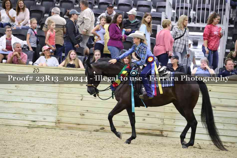 Proof 23R13_09244