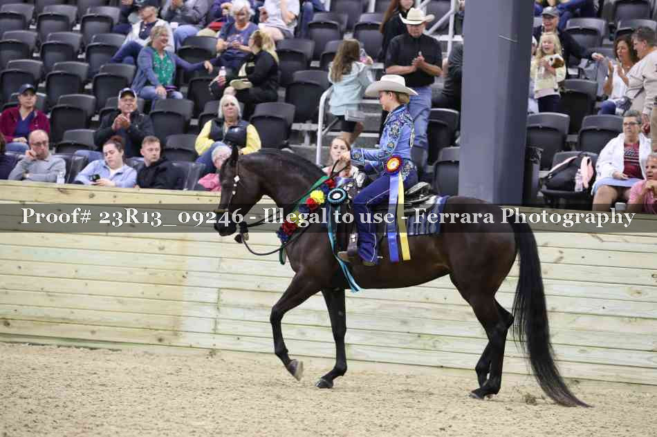 Proof 23R13_09246