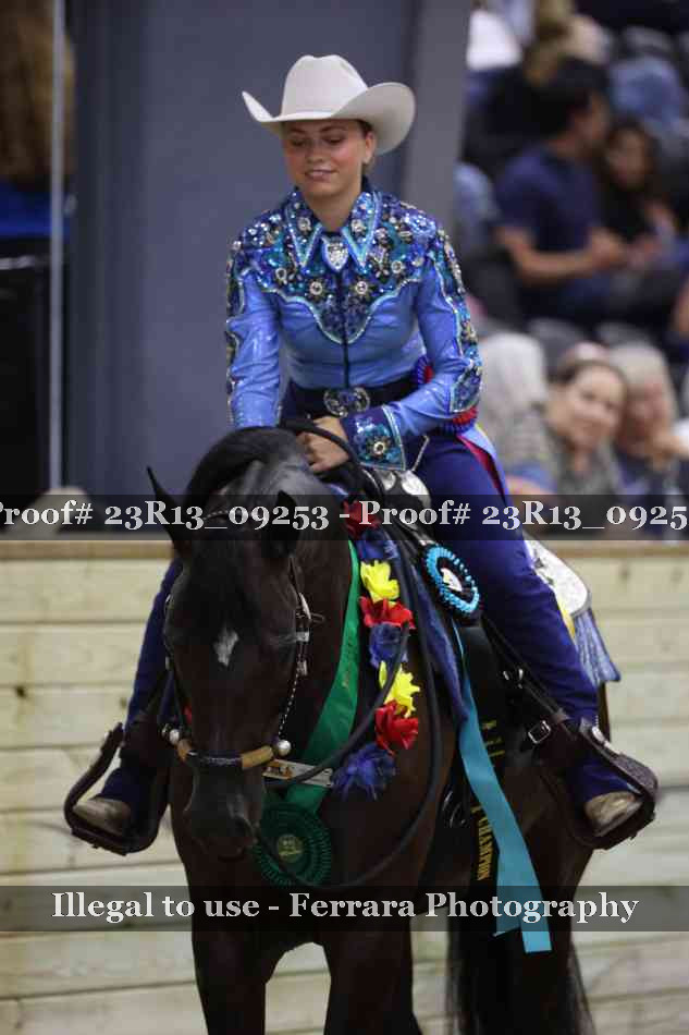 Proof 23R13_09253