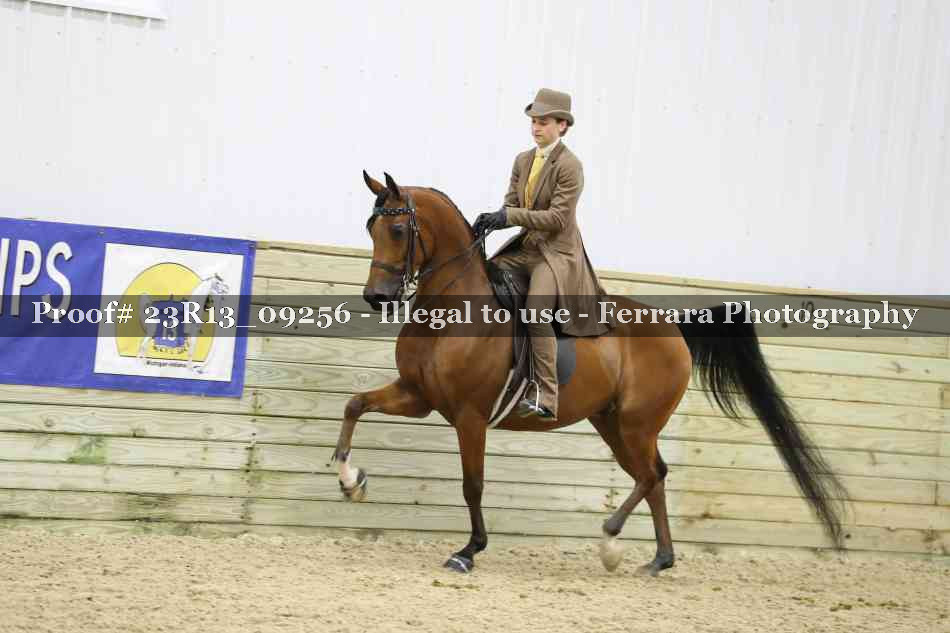 Proof 23R13_09256