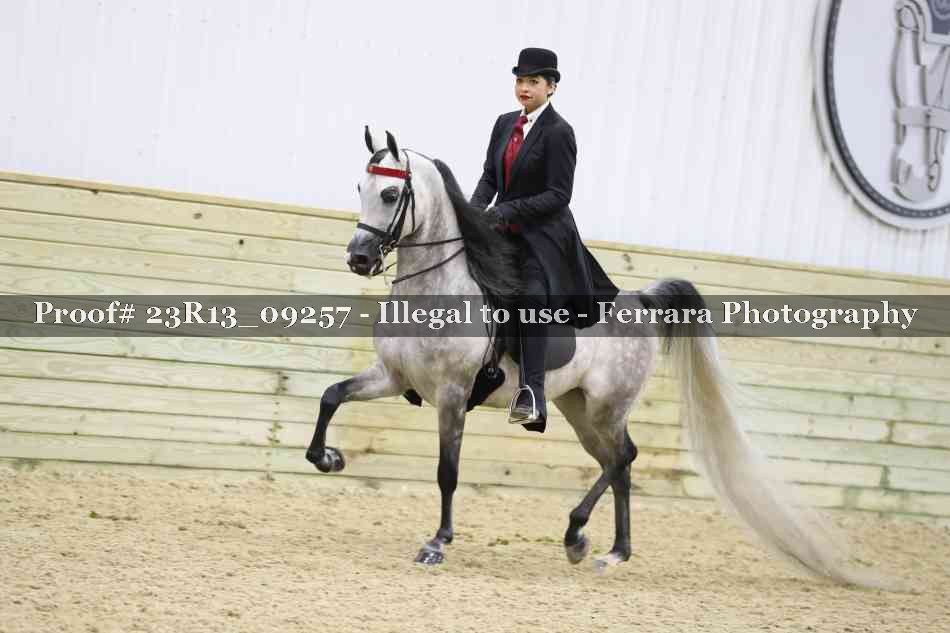 Proof 23R13_09257
