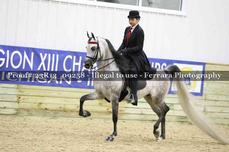 Proof 23R13_09258
