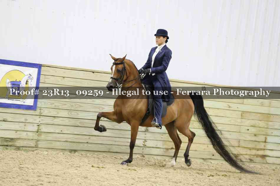 Proof 23R13_09259
