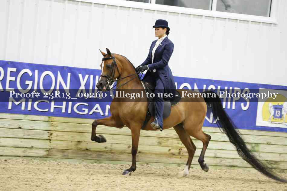 Proof 23R13_09260