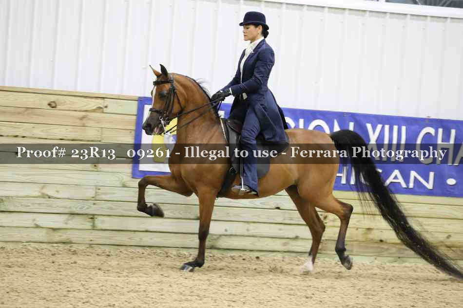 Proof 23R13_09261