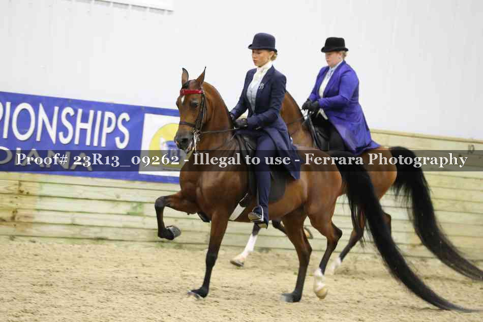 Proof 23R13_09262