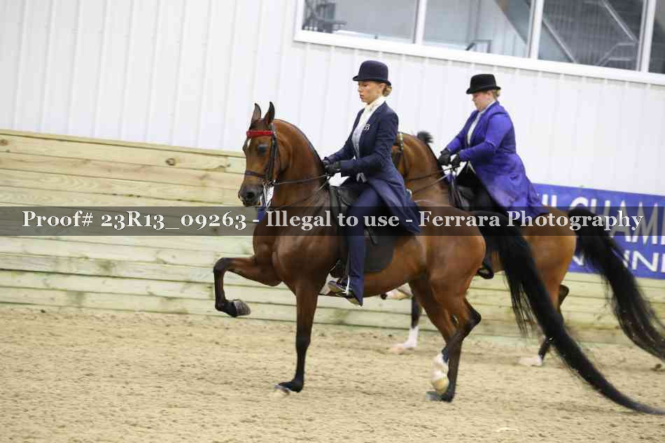 Proof 23R13_09263