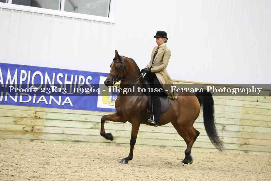 Proof 23R13_09264