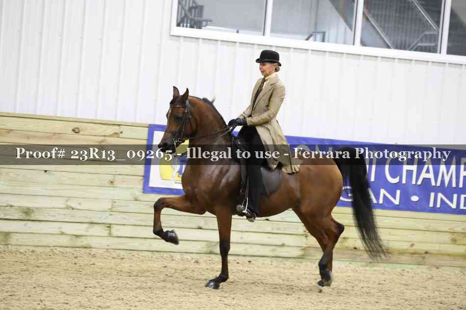 Proof 23R13_09265