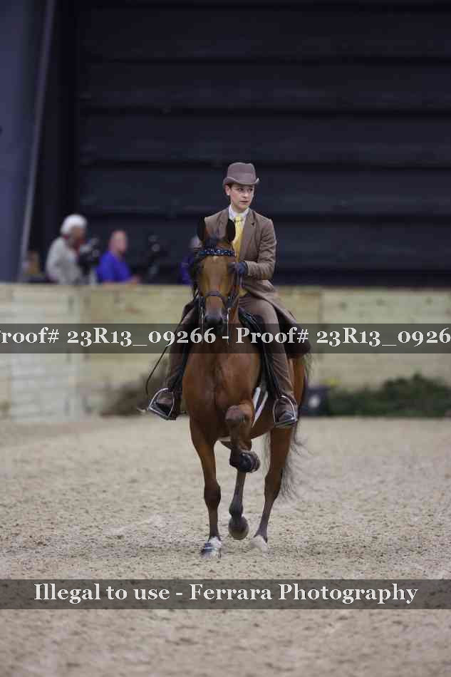 Proof 23R13_09266