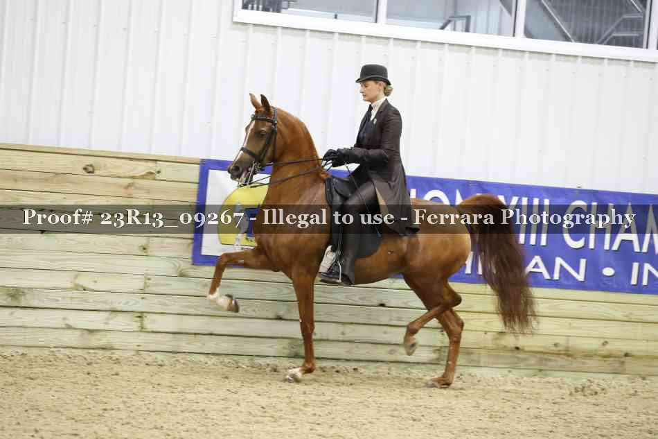 Proof 23R13_09267