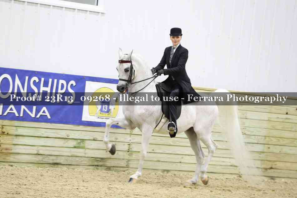 Proof 23R13_09268