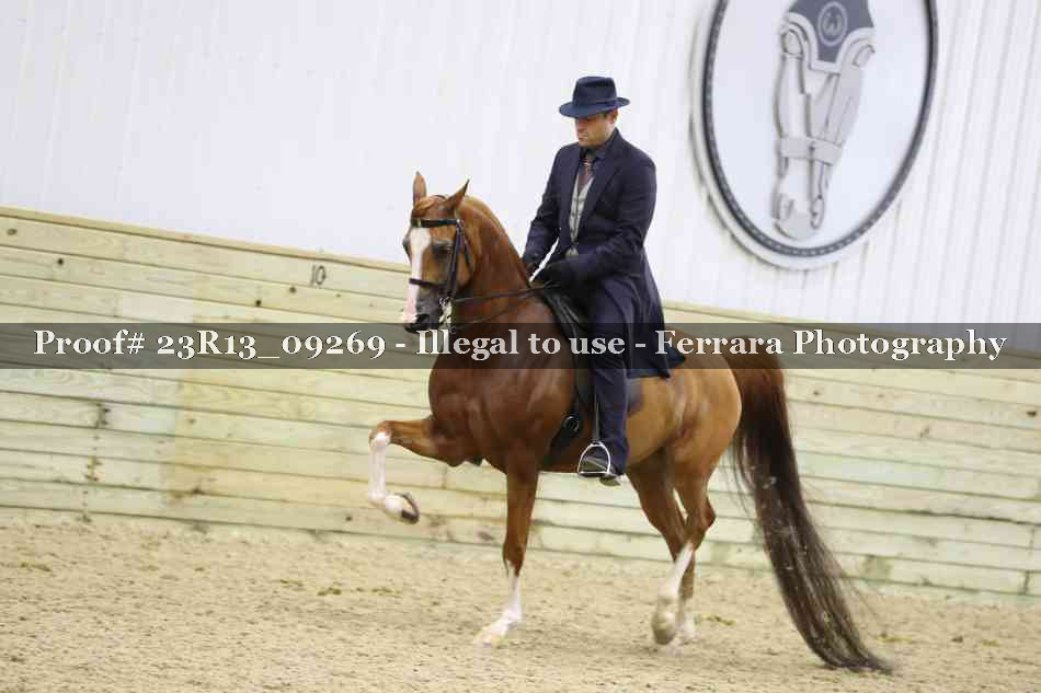 Proof 23R13_09269