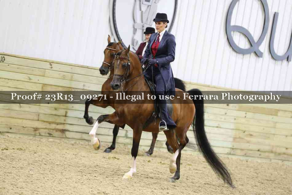 Proof 23R13_09271