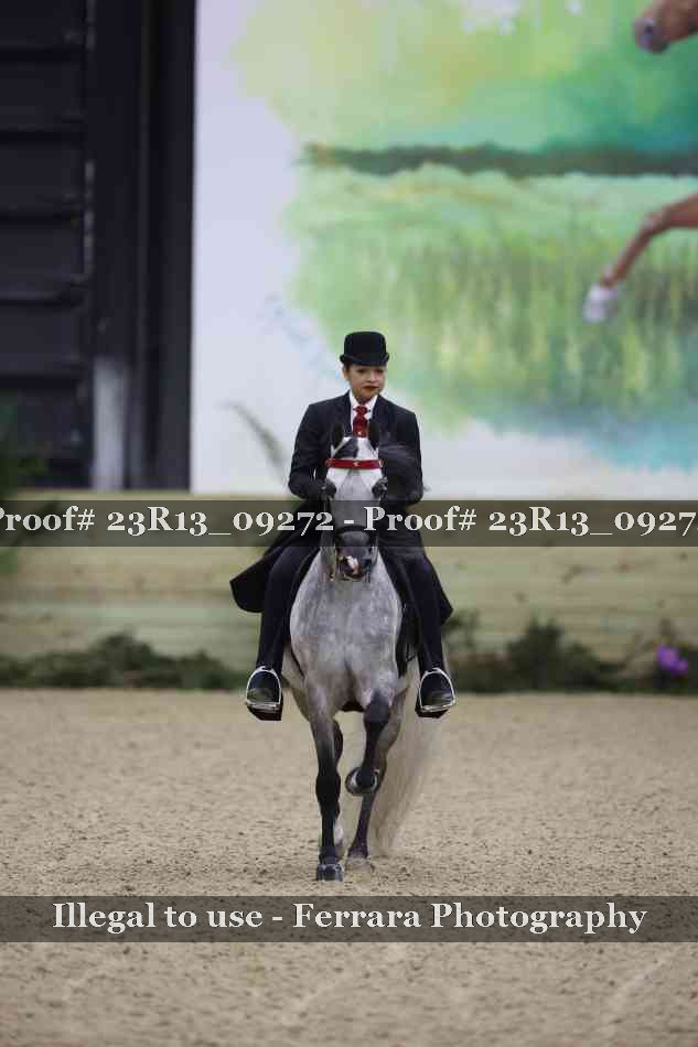 Proof 23R13_09272