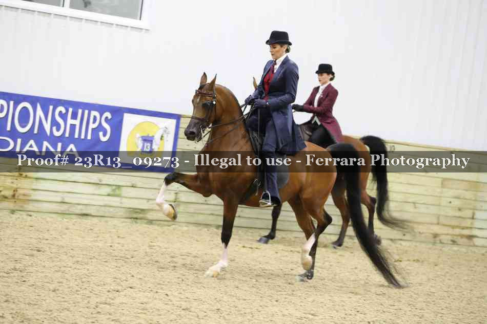 Proof 23R13_09273