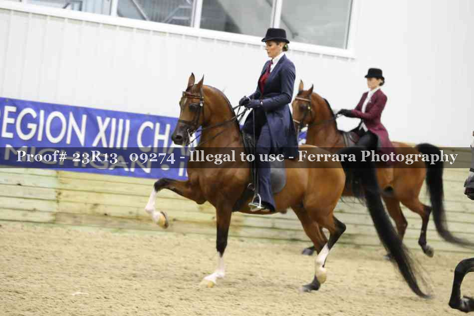 Proof 23R13_09274
