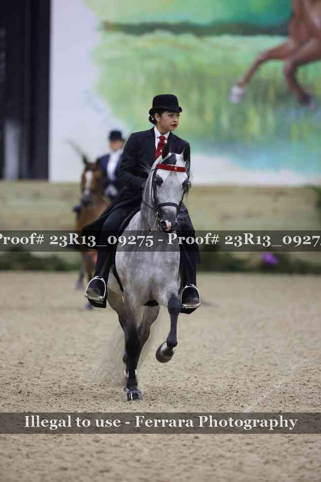 Proof 23R13_09275