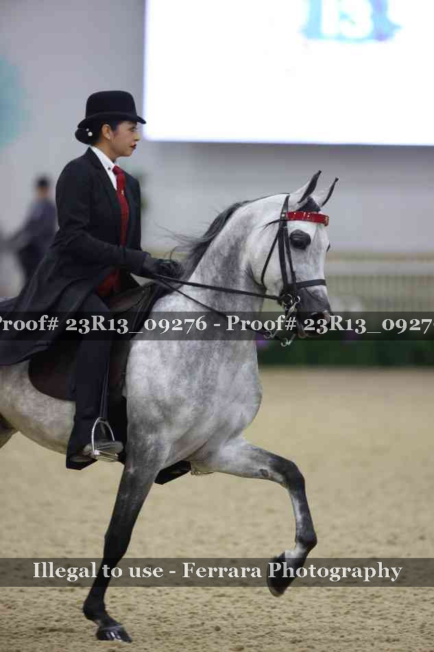 Proof 23R13_09276