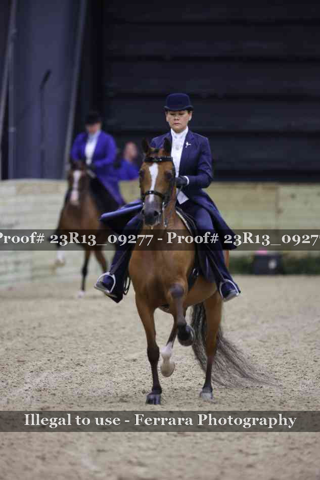 Proof 23R13_09277