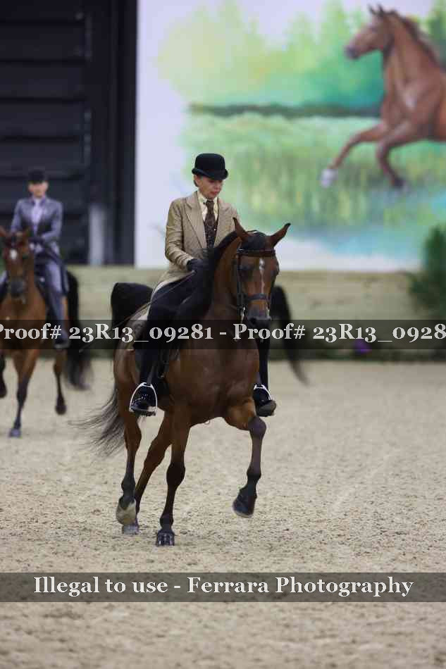 Proof 23R13_09281