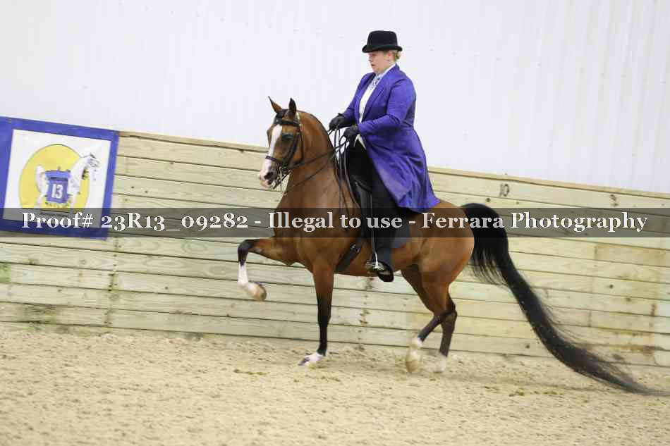 Proof 23R13_09282