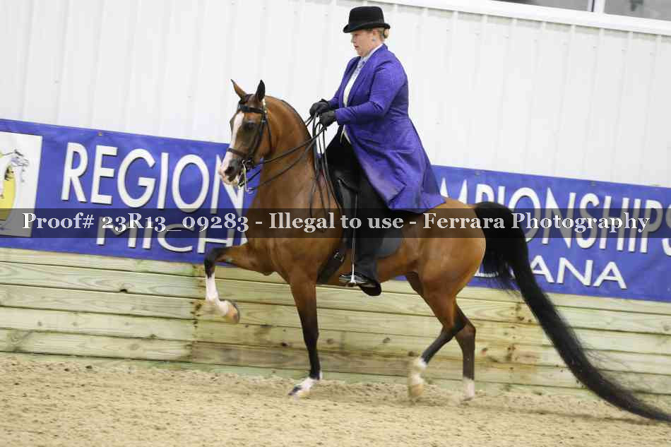 Proof 23R13_09283