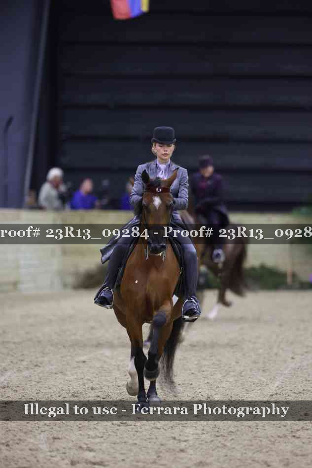 Proof 23R13_09284