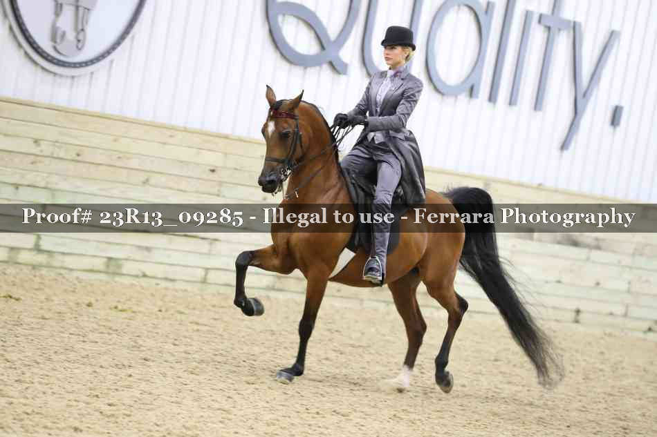 Proof 23R13_09285